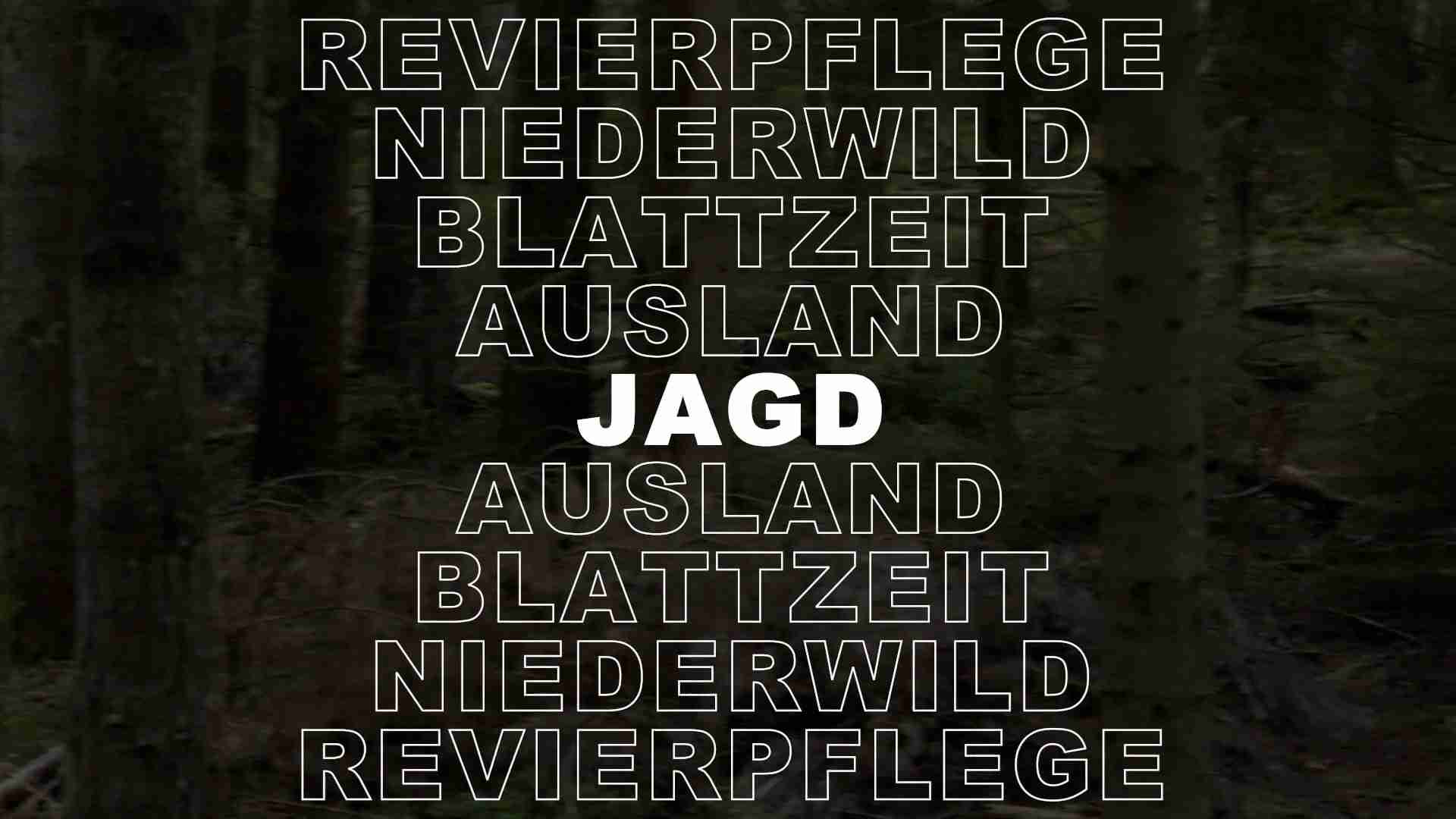 Video-Vorschau