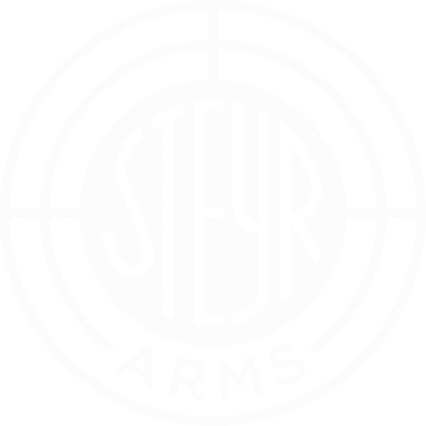 Steyr