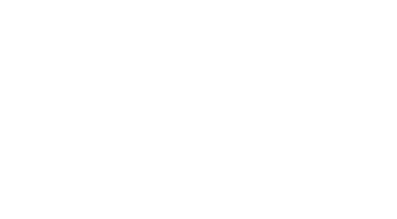 Seissinger Wildkamera